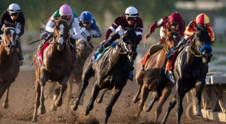 The Breeders' Cup and Melbourne Cup Set New Standards for Safety